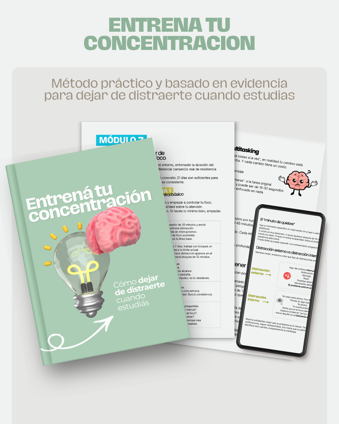 Sistema Completo de Aprendizaje 🎓