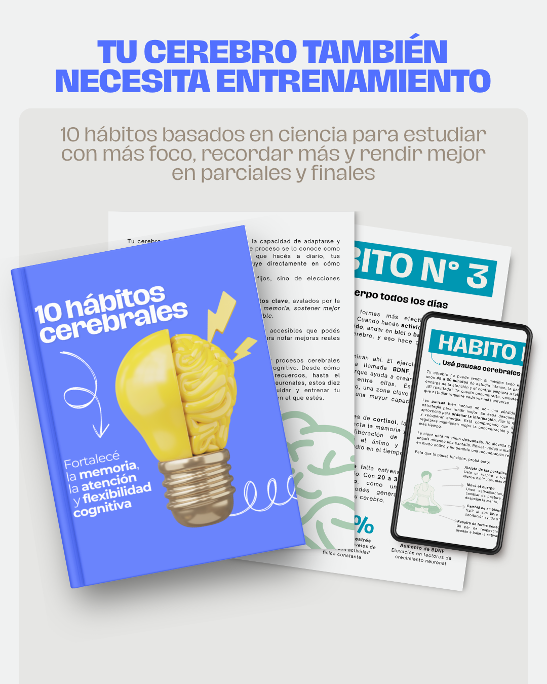 Sistema Completo de Aprendizaje 🎓